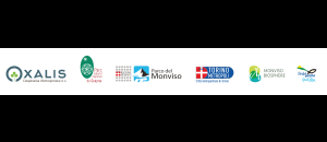 3-bandeau_logos_partenaires_detoure__original