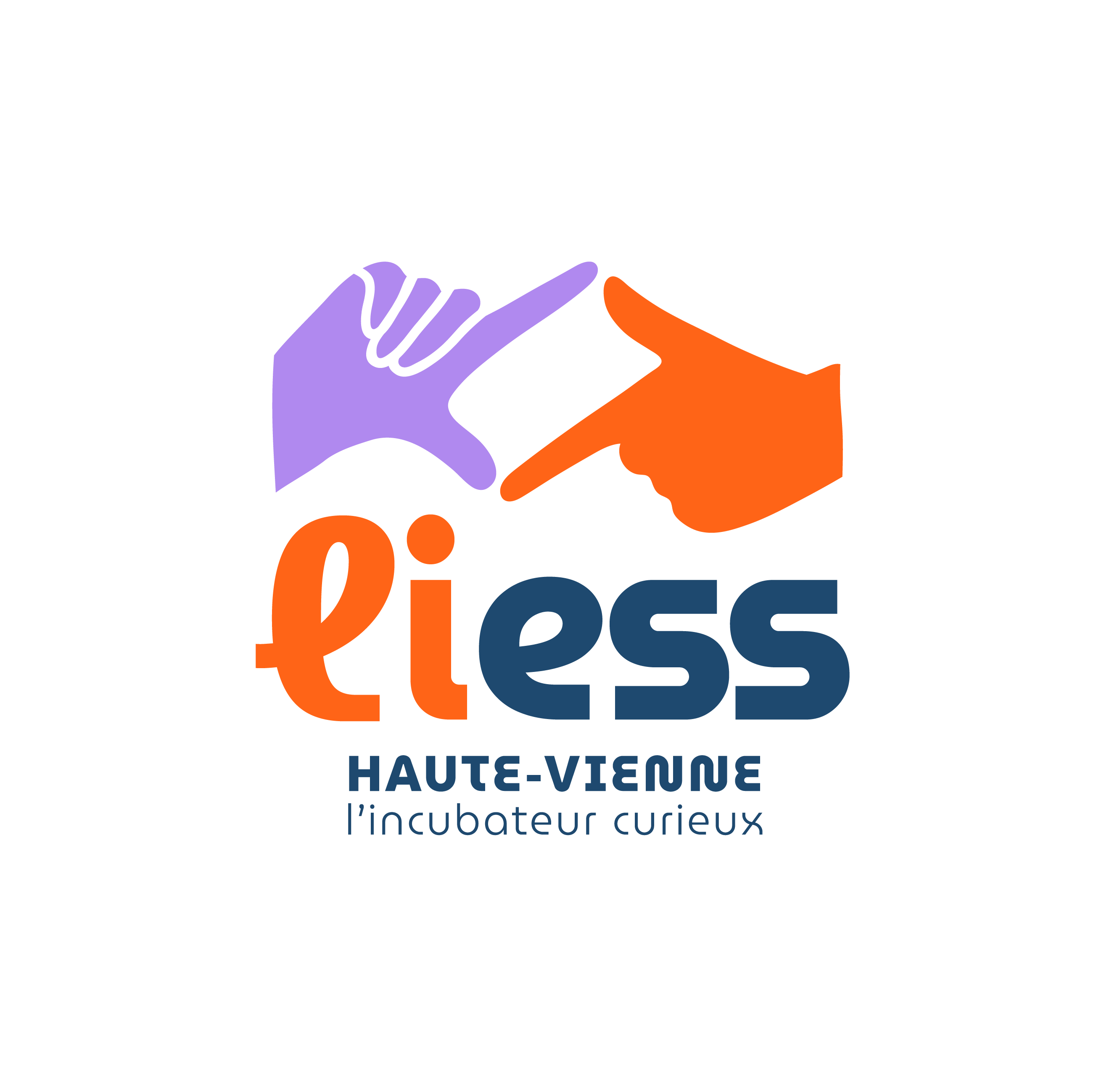 LOGO20LIESS20COMPLET20-20couleur_original